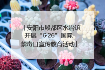 安阳市殷都区水冶镇开展“6·26”国际禁毒日宣传教育活动
