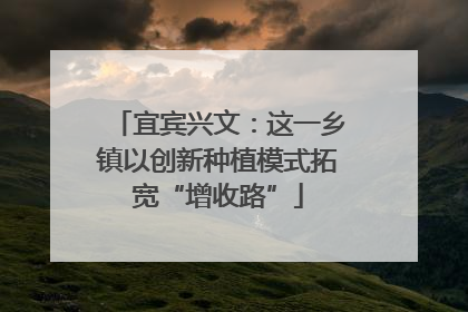 宜宾兴文：这一乡镇以创新种植模式拓宽“增收路”