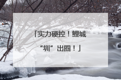 实力硬控！鲤城“圳”出圈！