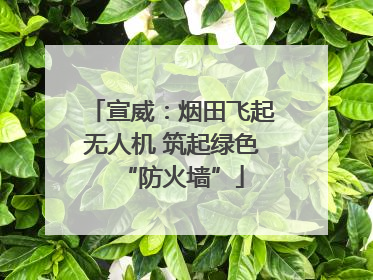 宣威：烟田飞起无人机 筑起绿色“防火墙”