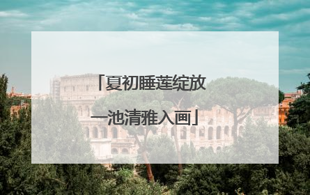 夏初睡莲绽放 一池清雅入画
