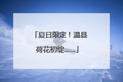 夏日限定！温县荷花初绽……
