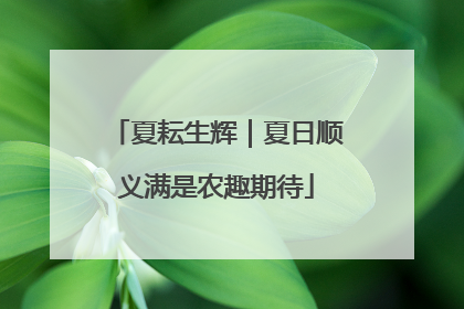 夏耘生辉｜夏日顺义满是农趣期待