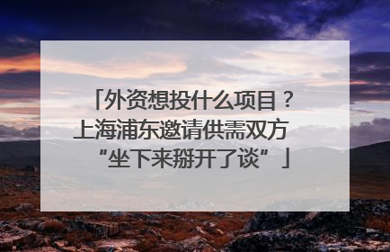 外资想投什么项目？上海浦东邀请供需双方“坐下来掰开了谈”
