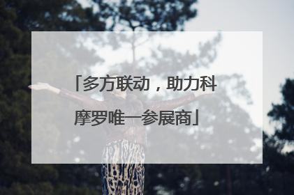 多方联动，助力科摩罗唯一参展商