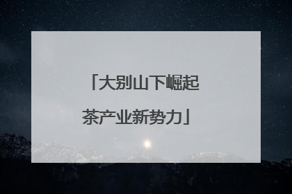 大别山下崛起茶产业新势力