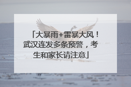 大暴雨+雷暴大风！武汉连发多条预警，考生和家长请注意