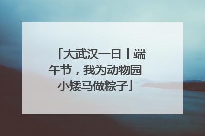 大武汉一日丨端午节，我为动物园小矮马做粽子