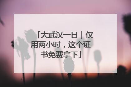 大武汉一日｜仅用两小时，这个证书免费拿下