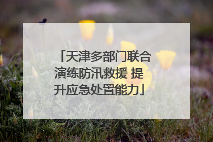 天津多部门联合演练防汛救援 提升应急处置能力