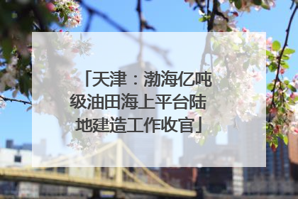 天津：渤海亿吨级油田海上平台陆地建造工作收官