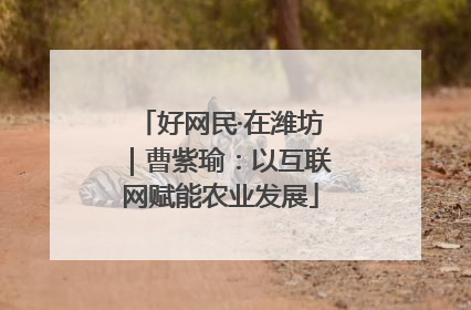 好网民·在潍坊｜曹紫瑜：以互联网赋能农业发展