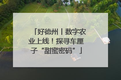 好德州丨数字农业上线！探寻车厘子“甜蜜密码”