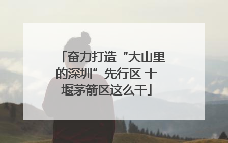 奋力打造“大山里的深圳”先行区 十堰茅箭区这么干