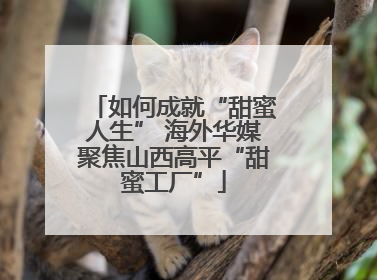 如何成就“甜蜜人生” 海外华媒聚焦山西高平“甜蜜工厂”
