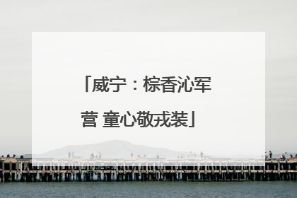 威宁：棕香沁军营 童心敬戎装