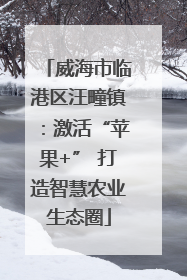 威海市临港区汪疃镇：激活“苹果+” 打造智慧农业生态圈