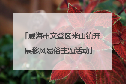 威海市文登区米山镇开展移风易俗主题活动