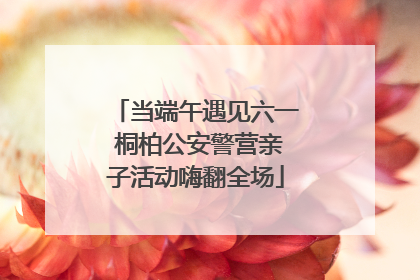 当端午遇见六一 桐柏公安警营亲子活动嗨翻全场