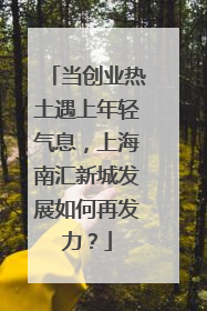 当创业热土遇上年轻气息，上海南汇新城发展如何再发力？