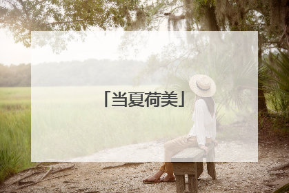 当夏荷美
