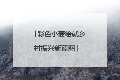 彩色小麦绘就乡村振兴新蓝图