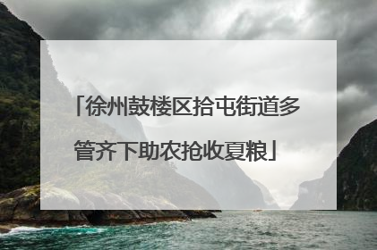 徐州鼓楼区拾屯街道多管齐下助农抢收夏粮