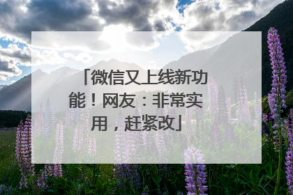 微信又上线新功能！网友：非常实用，赶紧改
