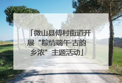 微山县傅村街道开展“粽情端午·古韵乡浓”主题活动