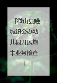 微山县驩城镇公办幼儿园开展期末业务检查