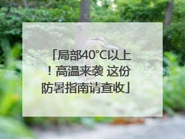 局部40℃以上！高温来袭 这份防暑指南请查收