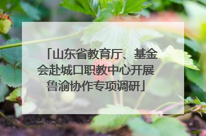 山东省教育厅、基金会赴城口职教中心开展鲁渝协作专项调研