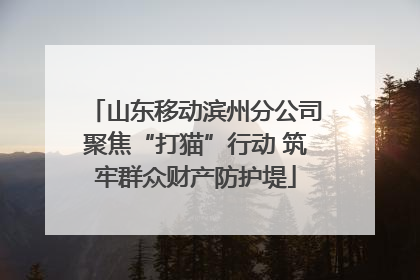 山东移动滨州分公司聚焦“打猫”行动 筑牢群众财产防护堤
