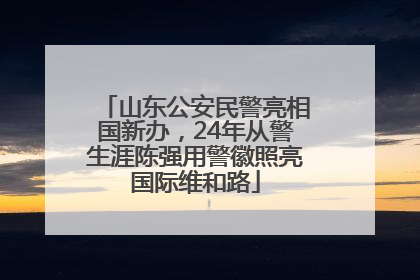 山东公安民警亮相国新办，24年从警生涯陈强用警徽照亮国际维和路