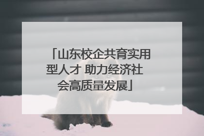 山东校企共育实用型人才 助力经济社会高质量发展