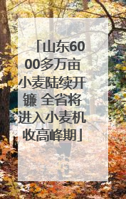 山东6000多万亩小麦陆续开镰 全省将进入小麦机收高峰期