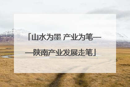 山水为墨 产业为笔——陕南产业发展走笔