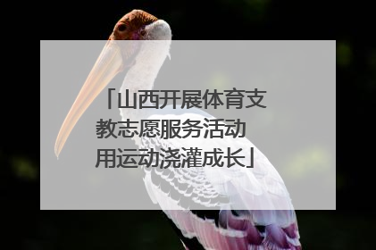 山西开展体育支教志愿服务活动 用运动浇灌成长