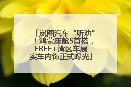 岚图汽车“听劝”！鸿蒙座舱5首搭，FREE+湾区车展实车内饰正式曝光