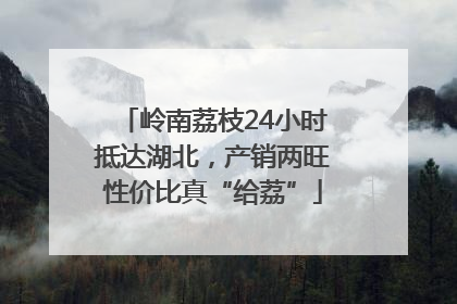 岭南荔枝24小时抵达湖北，产销两旺性价比真“给荔”