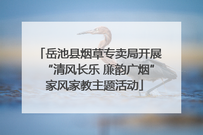 岳池县烟草专卖局开展“清风长乐 廉韵广烟”家风家教主题活动
