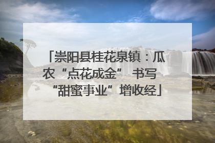 崇阳县桂花泉镇：瓜农“点花成金” 书写“甜蜜事业”增收经