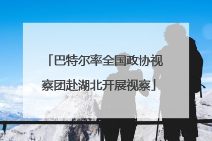 巴特尔率全国政协视察团赴湖北开展视察