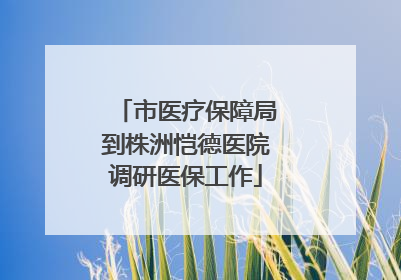 市医疗保障局到株洲恺德医院调研医保工作