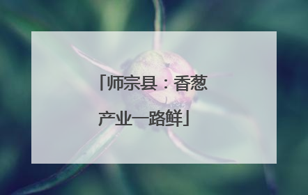 师宗县：香葱产业一路鲜