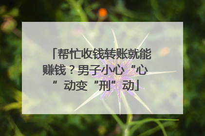 帮忙收钱转账就能赚钱？男子小心“心”动变“刑”动