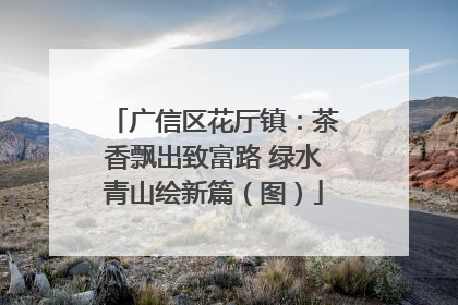 广信区花厅镇：茶香飘出致富路 绿水青山绘新篇（图）