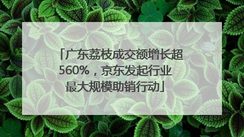 广东荔枝成交额增长超560%，京东发起行业最大规模助销行动