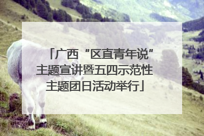 广西“区直青年说”主题宣讲暨五四示范性主题团日活动举行