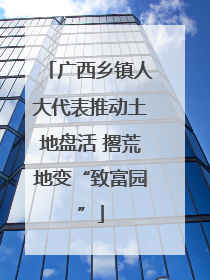广西乡镇人大代表推动土地盘活 撂荒地变“致富园”